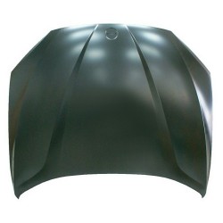 BMW X1 2009 CAPOT ( CHAPA )