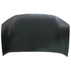 HONDA INSIGHT 2009 CAPOT