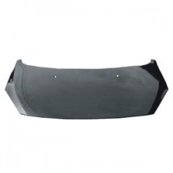 PEUGEOT 307 2005 CAPOT