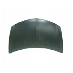 RENAULT CLIO 2009 CAPOT