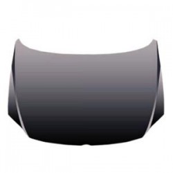 VOLKSWAGEN FOX 2005 CAPOT