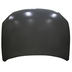 VOLKSWAGEN JETTA 2011 CAPOT